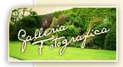 Galleria fotografica dei giardini realizzati